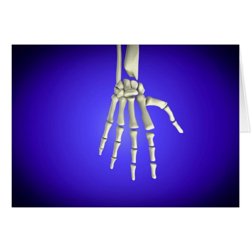 Conceptual Image Of Bones In Human Hand 2