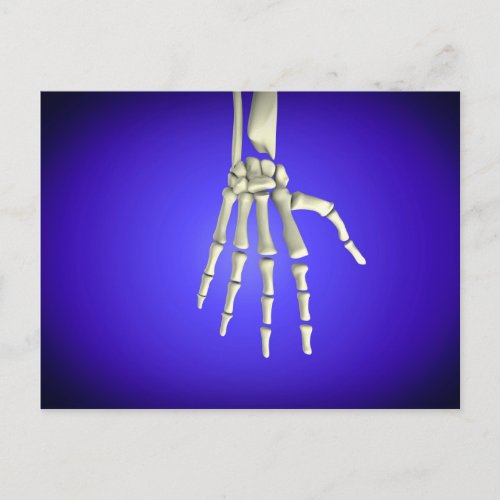 Conceptual Image Of Bones In Human Hand 2 Postcard