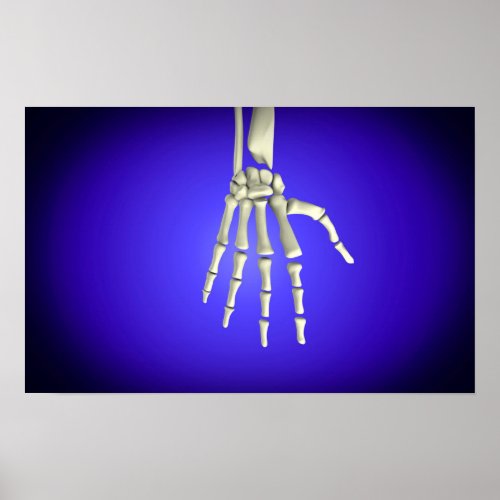 Conceptual Image Of Bones In Human Hand 2 Poster