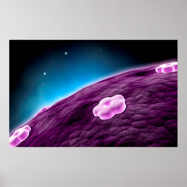 Conceptual Image Of Cell Nucleus Poster (Front)