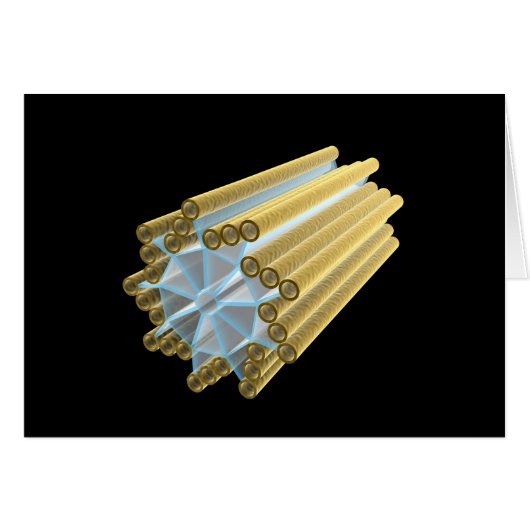 Conceptual Image Of Centriole Cards (Front Horizontal)
