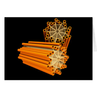 Conceptual Image Of Centrioles 1 Cards