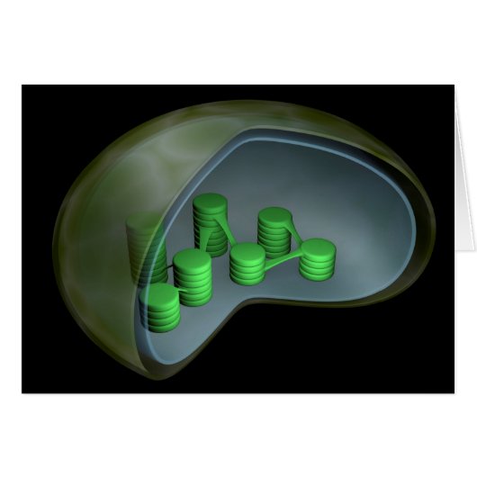 Conceptual Image Of Chloroplast 1 Cards (Front Horizontal)
