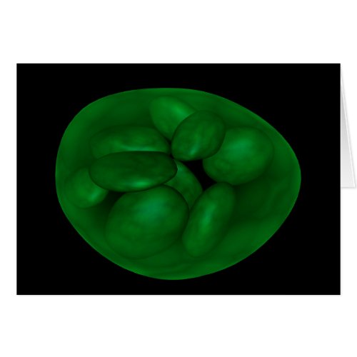 Conceptual Image Of Chloroplast 2