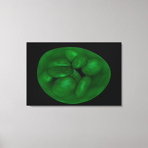 Conceptual Image Of Chloroplast 2 Canvas Print