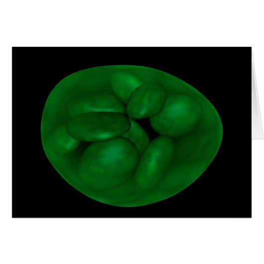 Conceptual Image Of Chloroplast 2 Cards (Front Horizontal)