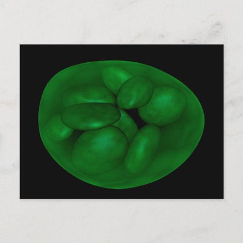 Conceptual Image Of Chloroplast 2 Postcard