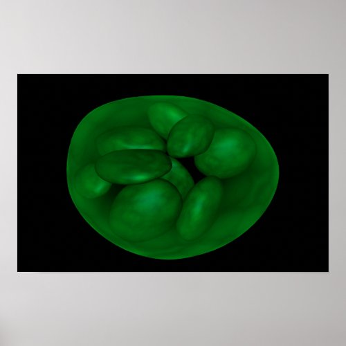 Conceptual Image Of Chloroplast 2 Poster