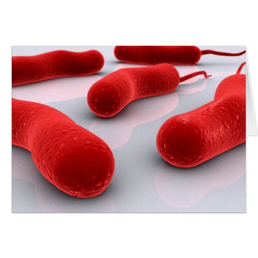 Conceptual Image Of Cholerae Bacteria Cards (Front Horizontal)