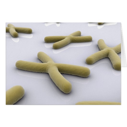 Conceptual Image Of Chromosome 1 Cards (Front Horizontal)