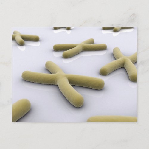 Conceptual Image Of Chromosome 1 Postcard
