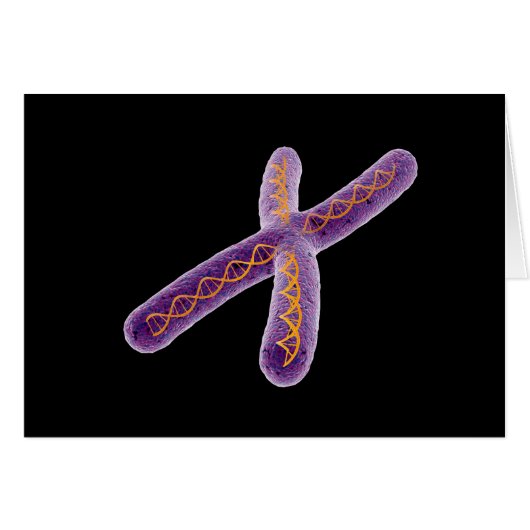 Conceptual Image Of Chromosome 2 Cards (Front Horizontal)