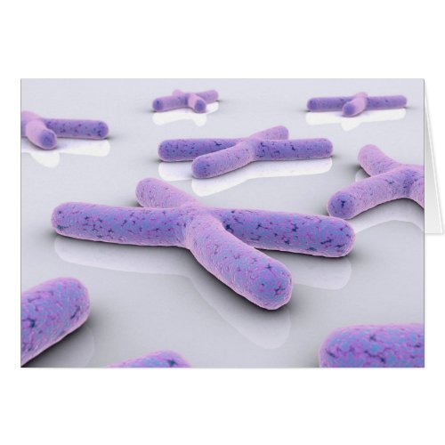 Conceptual Image Of Chromosome 4