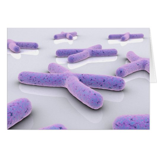 Conceptual Image Of Chromosome 4 Cards (Front Horizontal)