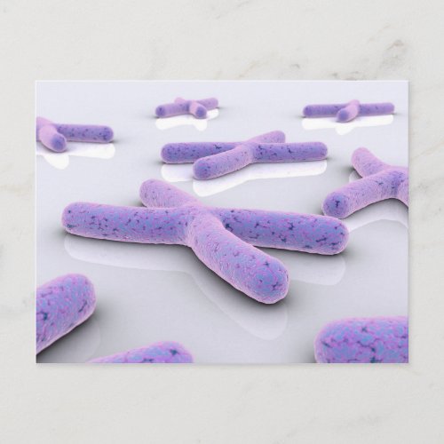 Conceptual Image Of Chromosome 4 Postcard