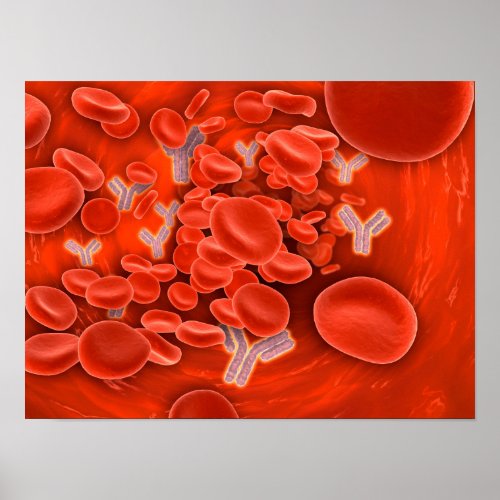 Conceptual Image Of Chromosomes Inside The Blood Poster