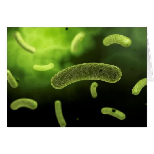 Conceptual Image Of Common Bacteria Cards (Front Horizontal)