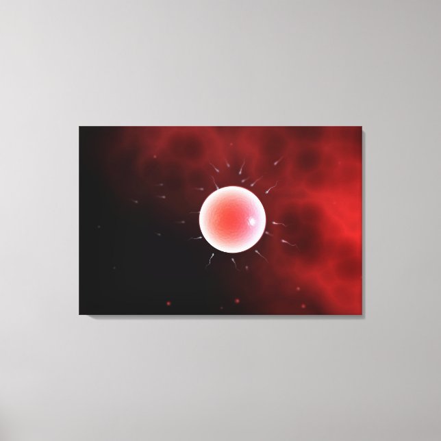 Conceptual Image Of Common Fertilization Canvas Print (Front)