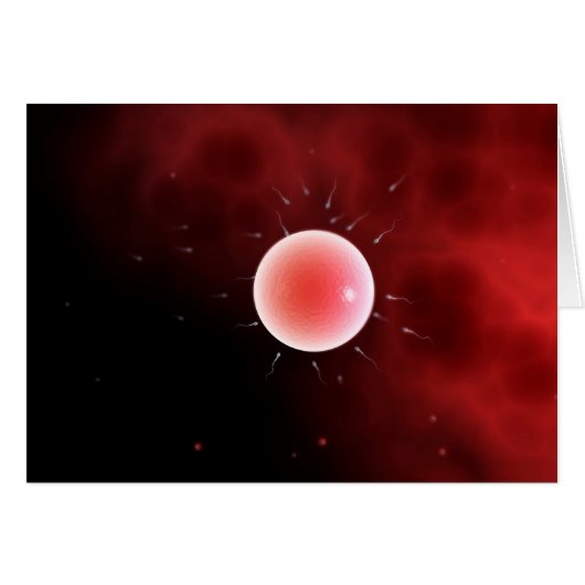 Conceptual Image Of Common Fertilization Cards (Front Horizontal)