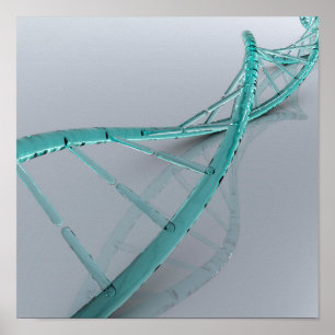 Conceptual Image Of DNA 3 Poster