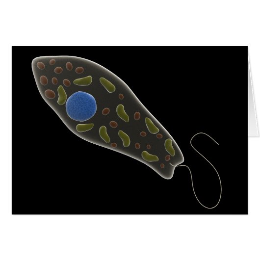 Conceptual Image Of Euglena 1 Cards (Front Horizontal)