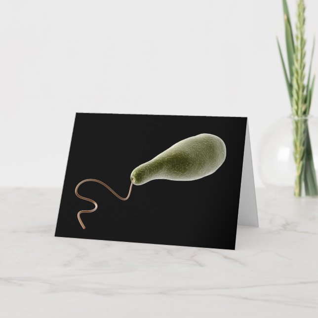 Conceptual Image Of Euglena 2 Card (Front)