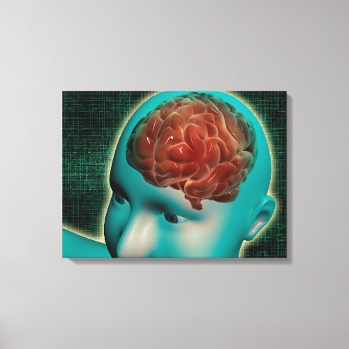 Conceptual Image Of Female Body With Brain 1 Canvas Print