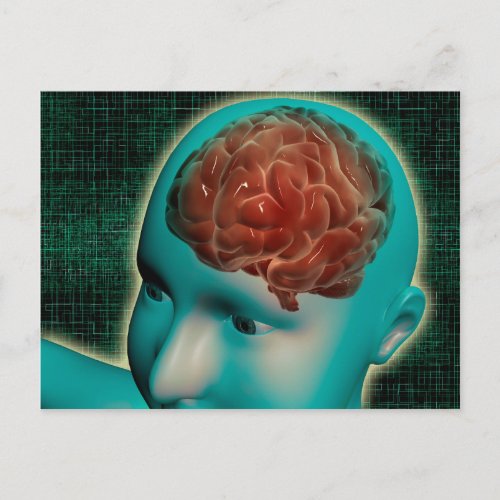 Conceptual Image Of Female Body With Brain 1 Postcard