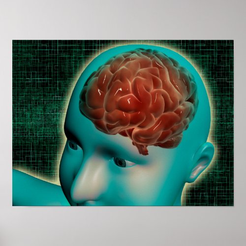 Conceptual Image Of Female Body With Brain 1 Poster
