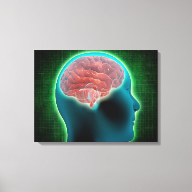 Conceptual Image Of Female Body With Brain 2 Canvas Print (Front)