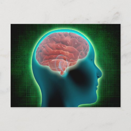 Conceptual Image Of Female Body With Brain 2 Postcard
