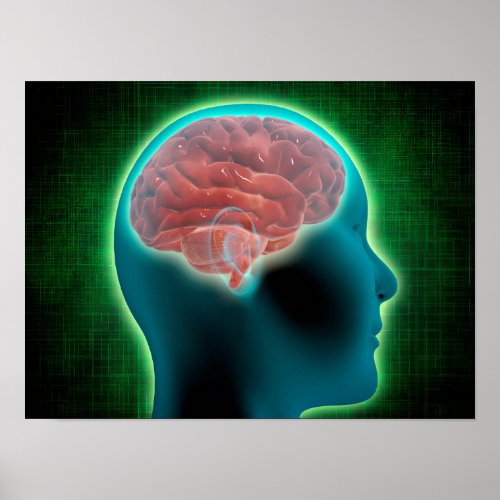 Conceptual Image Of Female Body With Brain 2 Poster