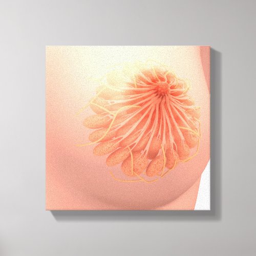 Conceptual Image Of Female Breast Anatomy 3 Canvas Print