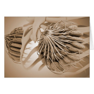 Conceptual Image Of Female Breast Anatomy 5 Cards