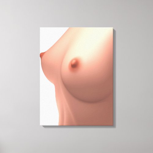 Conceptual Image Of Female Breast Canvas Print