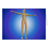 Conceptual Image Of Female Nervous System (Front Horizontal)