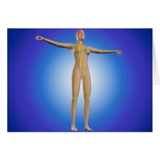 Conceptual Image Of Female Nervous System Cards (Front Horizontal)