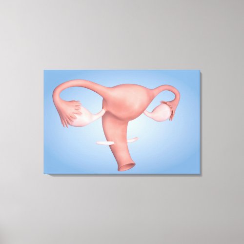 Conceptual Image Of Female Reproductive Organ 1 Canvas Print