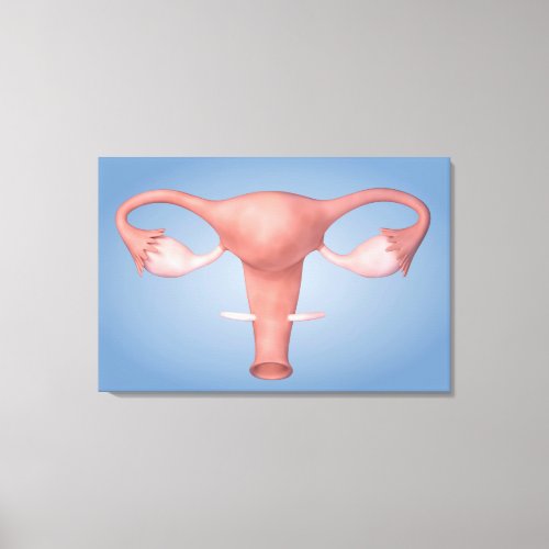 Conceptual Image Of Female Reproductive Organ 2 Canvas Print