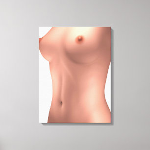 Conceptual Image Of Female Torso Canvas Print