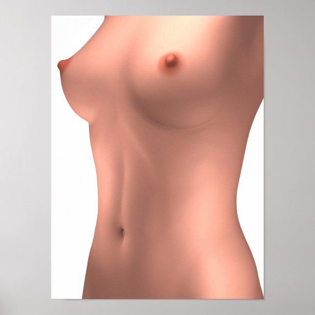 Conceptual Image Of Female Torso Poster (Front)