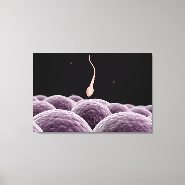 Conceptual Image Of Fertilization Canvas Print (Front)