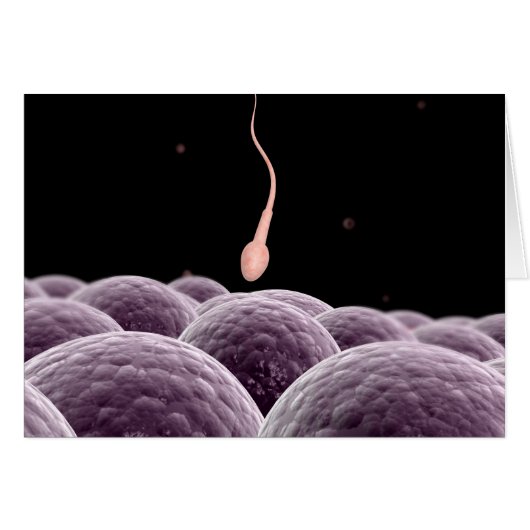 Conceptual Image Of Fertilization Cards (Front Horizontal)