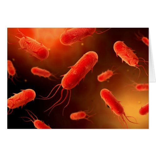 Conceptual Image Of Flagellate Bacterium 1