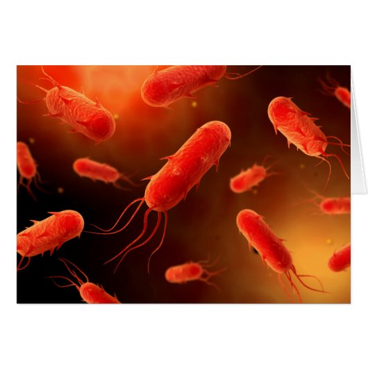 Conceptual Image Of Flagellate Bacterium 1 Cards (Front Horizontal)