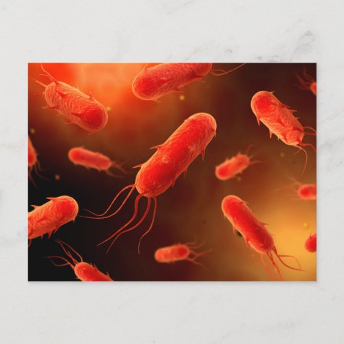 Conceptual Image Of Flagellate Bacterium 1 Postcard