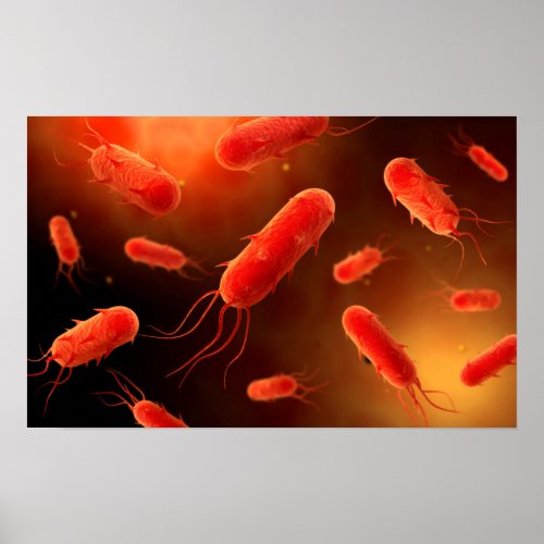 Conceptual Image Of Flagellate Bacterium 1 Poster