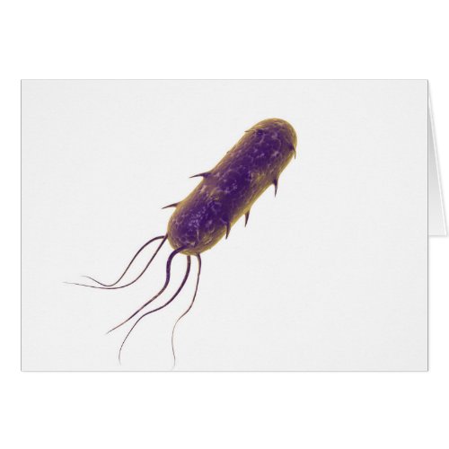 Conceptual Image Of Flagellate Bacterium 2