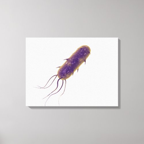 Conceptual Image Of Flagellate Bacterium 2 Canvas Print