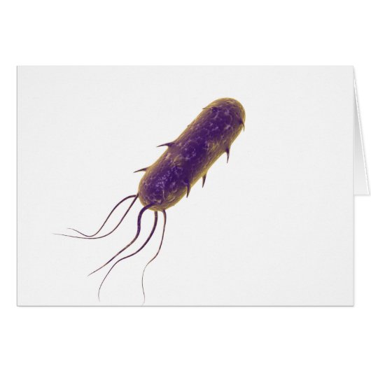 Conceptual Image Of Flagellate Bacterium 2 Cards (Front Horizontal)